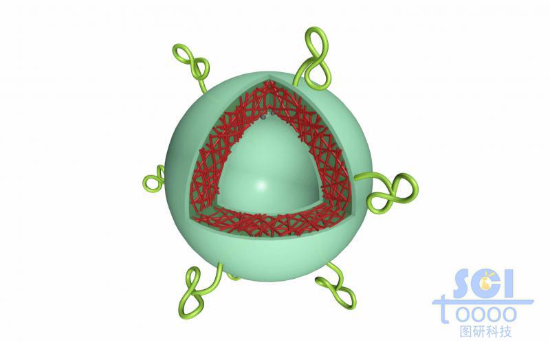 高分子鏈段交聯(lián)形成的空心球殼