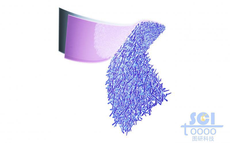 尾端相連逐漸分離開的高分子與隔膜層