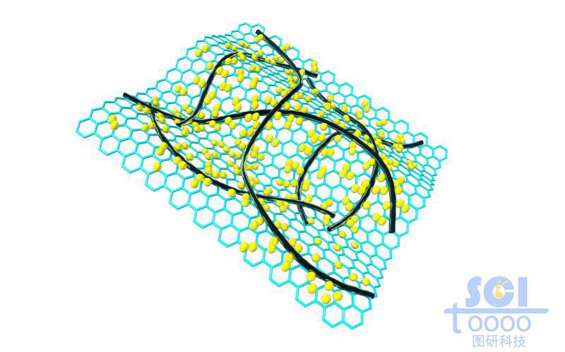 表面附著納米線(xiàn)/碳納米管與小分子的石墨烯