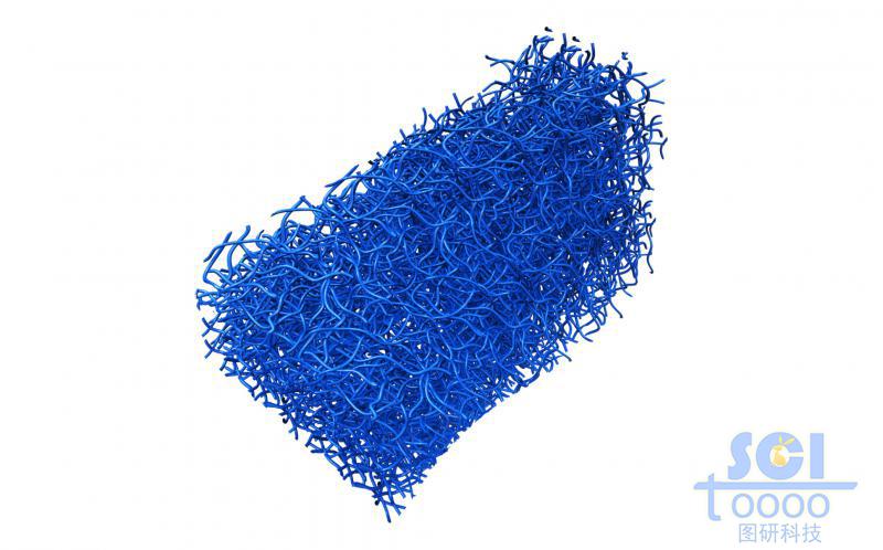 相互纏繞的長(zhǎng)碳管形成的多孔/膜結(jié)構(gòu)