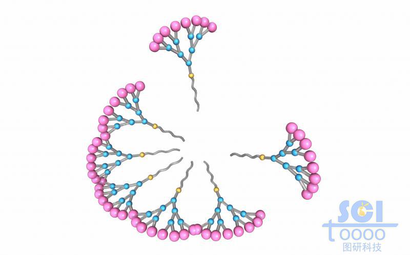 樹枝狀高分子鏈段結(jié)構(gòu)