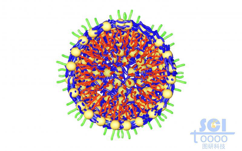 高分子鏈段向心團(tuán)聚平面/切面/剖面示意圖