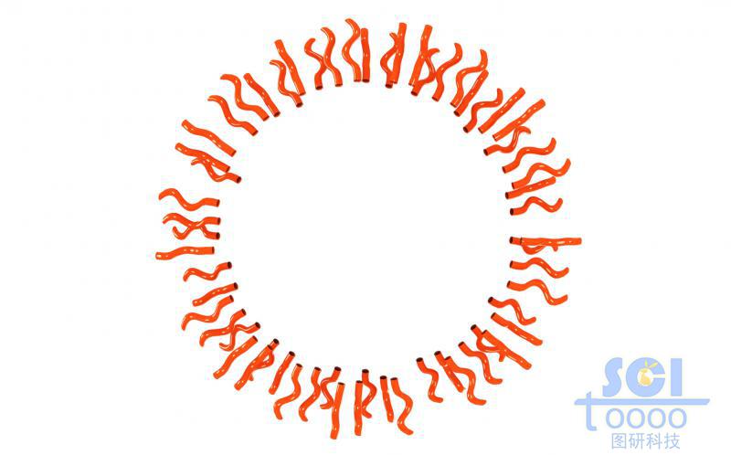 高分子鏈段向心團(tuán)聚平面/切面/剖面示意圖