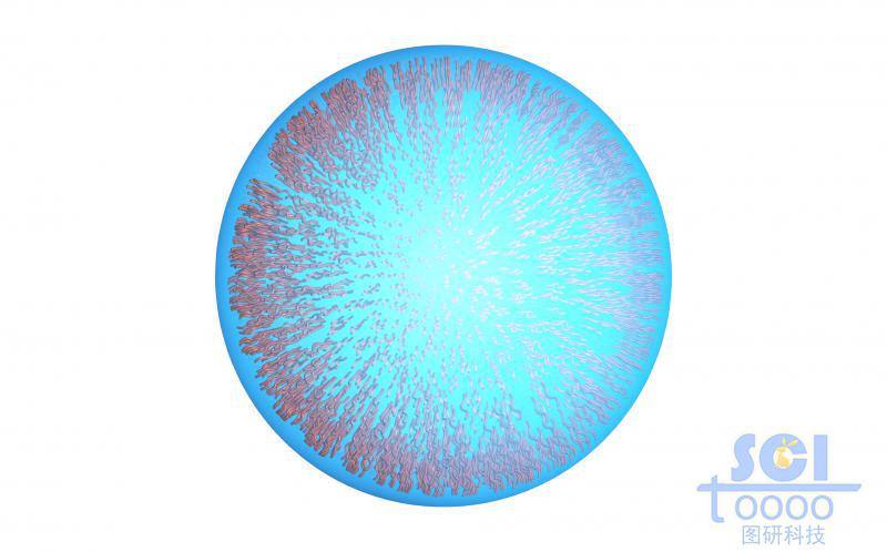 水溶液/溶液中包裹向心排列的高分子鏈段/親疏水鏈段