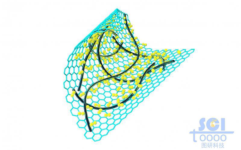 表面附著納米線/碳納米管與小分子的石墨烯