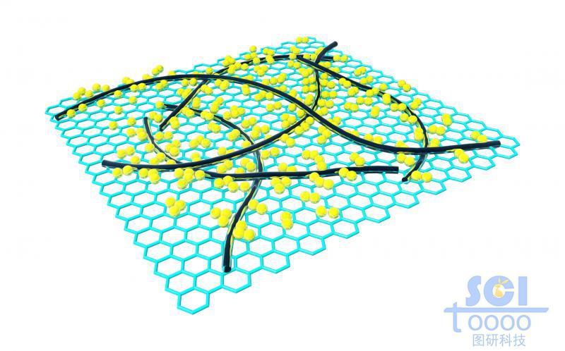 表面附著納米線/碳納米管與小分子的石墨烯