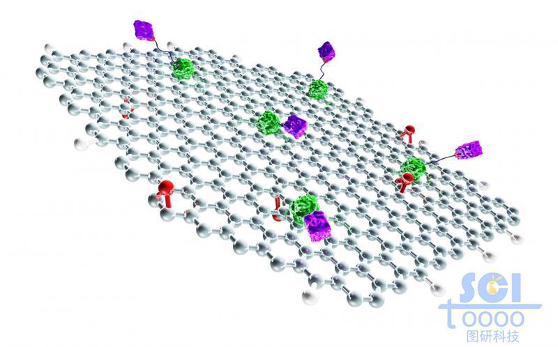 表面附著配體蛋白結(jié)構(gòu)的石墨烯