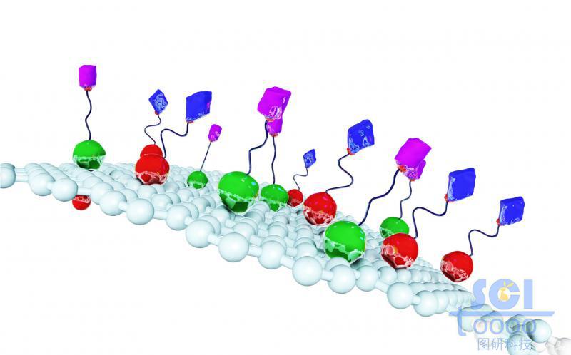 表面附著配體蛋白結(jié)構(gòu)的石墨烯