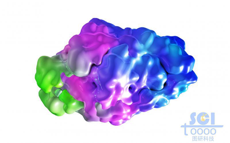 蛋白質(zhì)結(jié)構(gòu)
