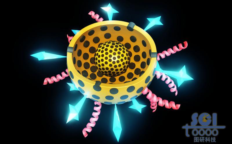 帶二分之一切口的雙層介孔球/硅球/納米顆?？椎捞畛渌幬锿庑揎楇逆?星形結(jié)構(gòu)分子