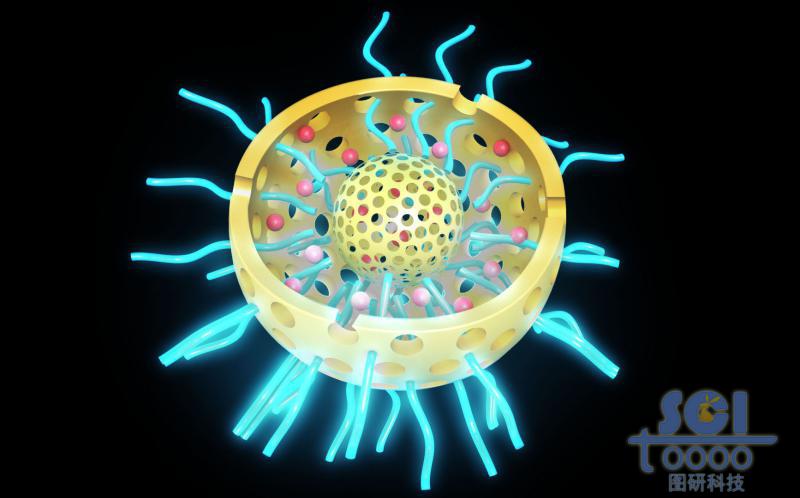 二分之一切口的雙層介孔硅球孔道內(nèi)帶藥物DOX球殼內(nèi)外均含硫基/高分子鏈段