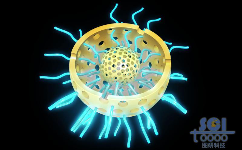 二分之一切口的雙層介孔硅球，球殼內(nèi)外均含硫基/高分子鏈段
