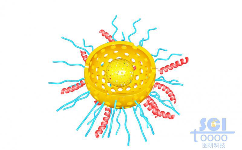 二分之一切口的雙層介孔硅球，球殼內(nèi)外均含硫基/高分子鏈段