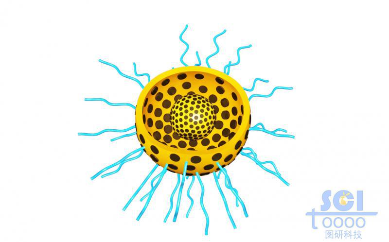 帶二分之一切口的雙層介孔球/硅球/納米顆?？椎捞畛渌幬锿庑揎楇逆?星形結(jié)構(gòu)分子
