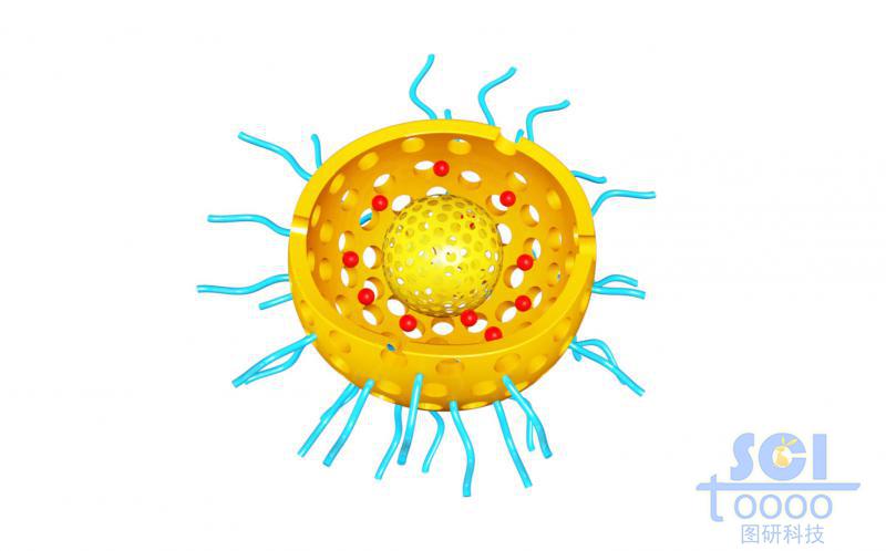 二分之一切口的雙層介孔硅球孔道內(nèi)帶藥物DOX球殼內(nèi)外均含硫基/高分子鏈段