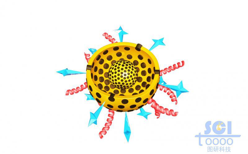 帶二分之一切口的雙層介孔球/硅球/納米顆?？椎捞畛渌幬锿庑揎楇逆?星形結(jié)構(gòu)分子