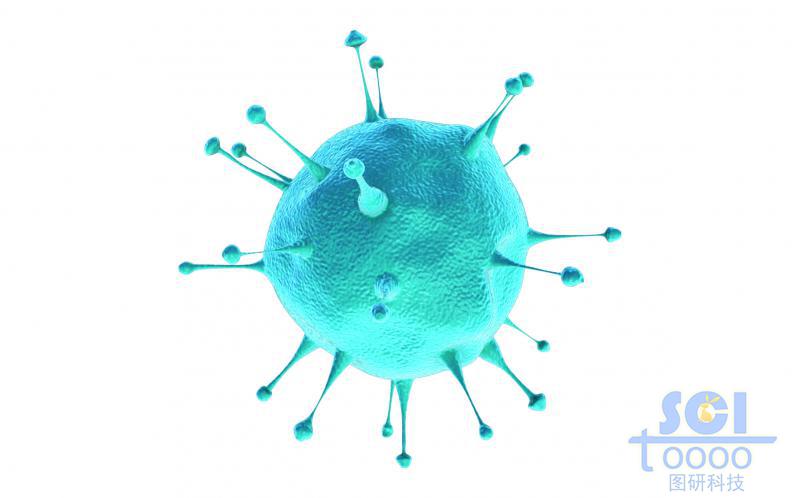 表面帶突起的病毒結(jié)構(gòu)