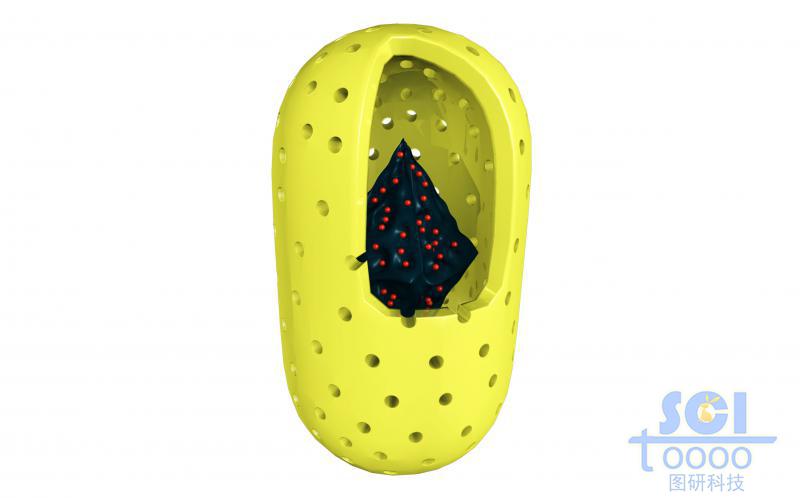膠囊狀空心介孔納米藥物內核中帶鑲嵌小分子/藥物結構的八面體碳結構