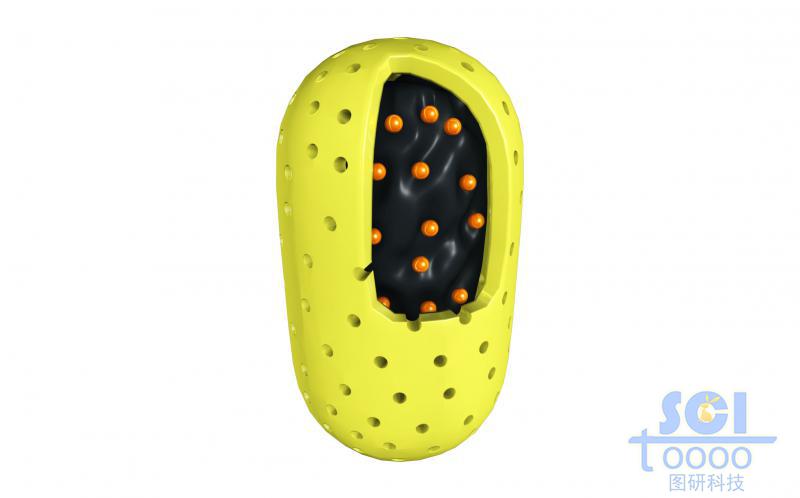 膠囊狀空心介孔納米藥物內核中帶鑲嵌小分子/藥物結構的碳結構
