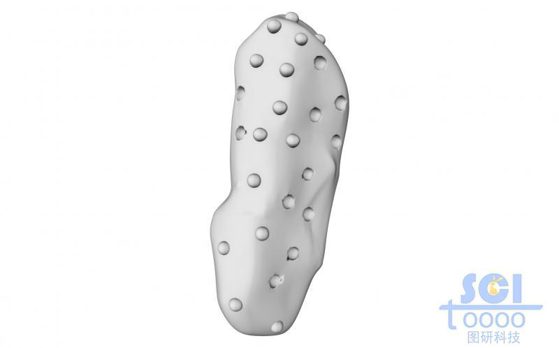 表面同時具備凸起和凹陷結(jié)構(gòu)的微納米結(jié)構(gòu)