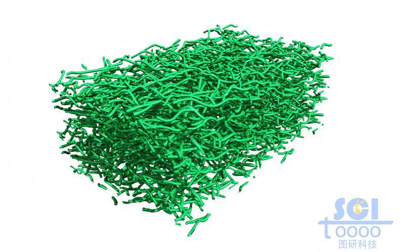 納米線段/碳納米管相互交聯(lián)形成的多孔膜/骨架