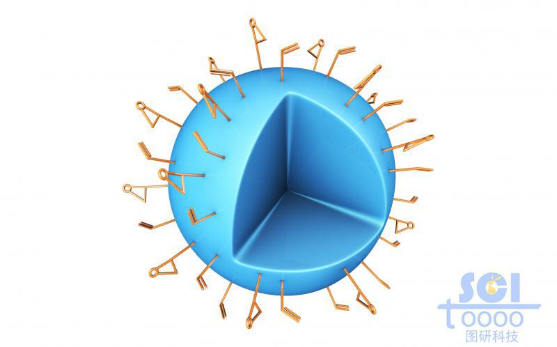 表面修飾高分子鏈段的實心納米球