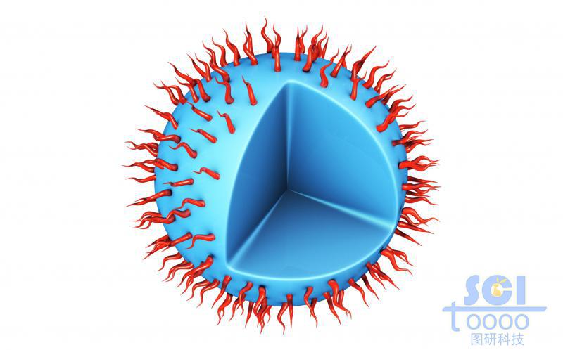 表面修飾高分子鏈段的實心納米球