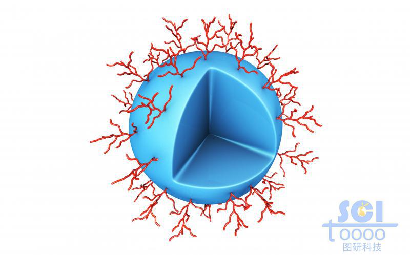 表面修飾高分子鏈段的實心納米球
