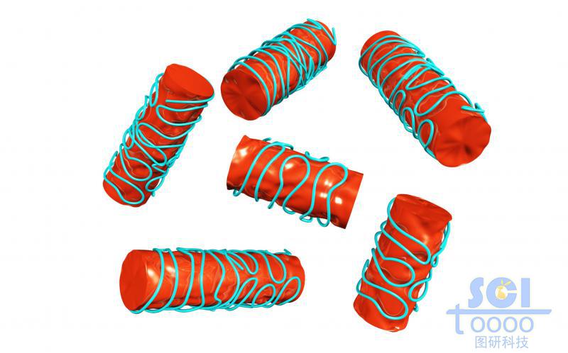 高分子鏈段螺旋纏繞的納米棒