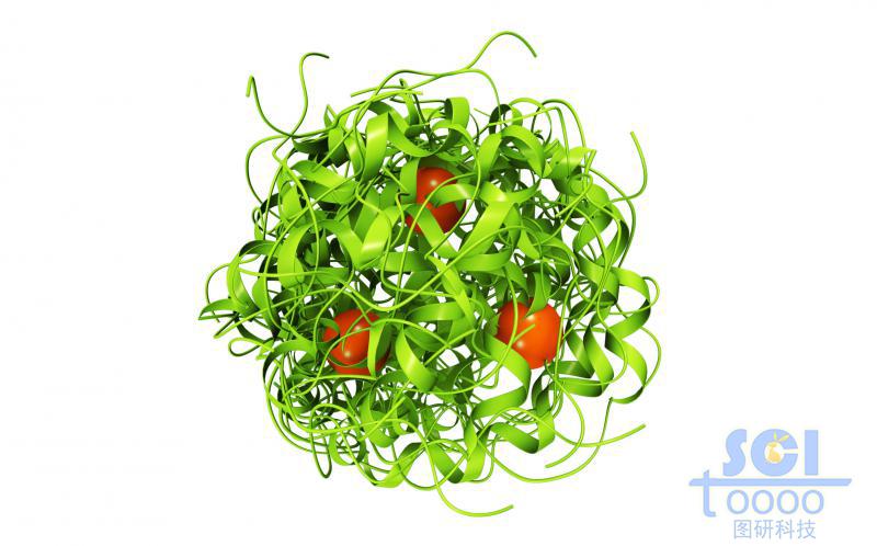 蛋白質(zhì)堆積形成的納米球內(nèi)層鑲嵌小分子基團(tuán)