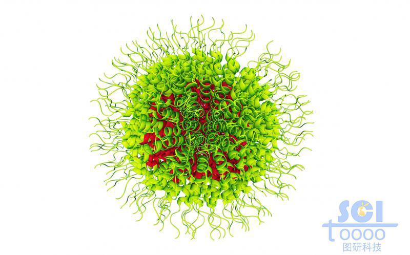 SS硫硫鍵作用下蛋白結(jié)構(gòu)聚合成球