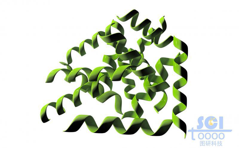 蛋白質(zhì)結(jié)構(gòu)