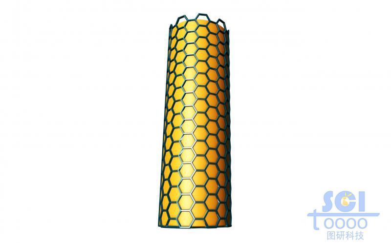 金納米探針表面包裹石墨烯結構