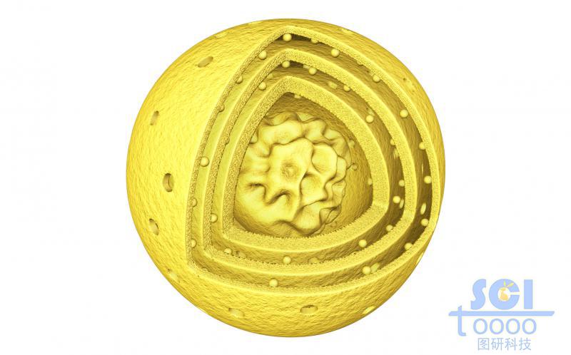 不規(guī)則內(nèi)核外部三層介孔結(jié)構(gòu)