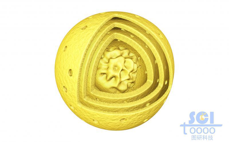 不規(guī)則內(nèi)核外部三層介孔結(jié)構(gòu)