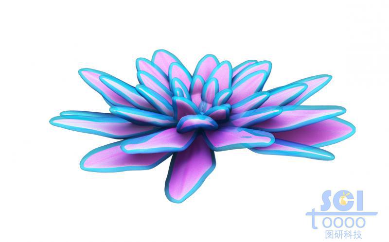 多層結(jié)構(gòu)納米花