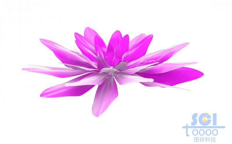 多層結(jié)構(gòu)納米花