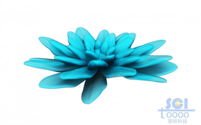 多層結(jié)構(gòu)納米花