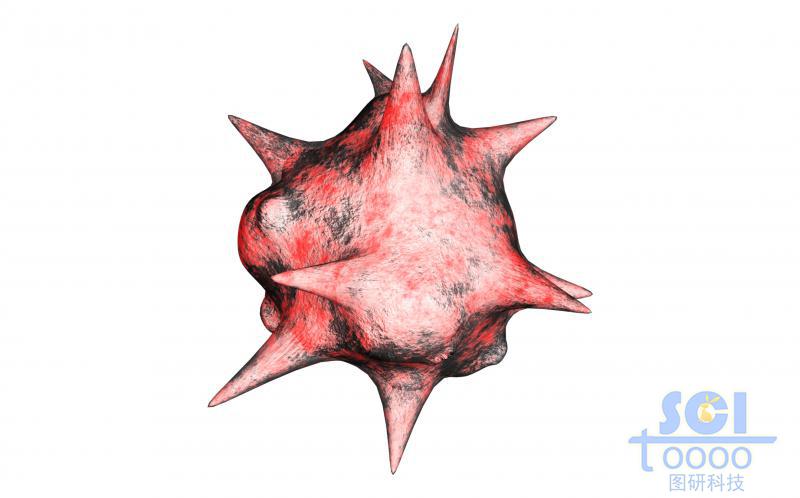 癌細(xì)胞/病毒