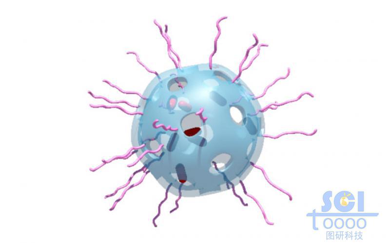 介孔硅負(fù)載DNA雙鏈和RhB