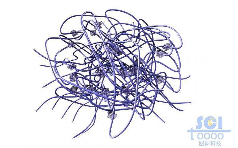 高分子鏈段交聯(lián)纏繞形成的結構內(nèi)嵌吸附納米藥物