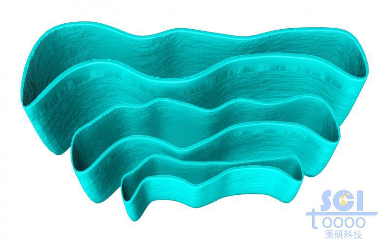 單獨(dú)的高爾基體