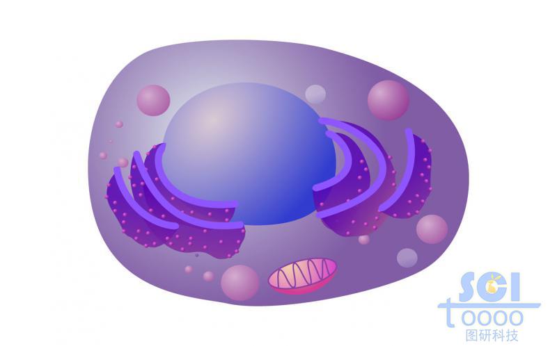 卡通風(fēng)格細(xì)胞
