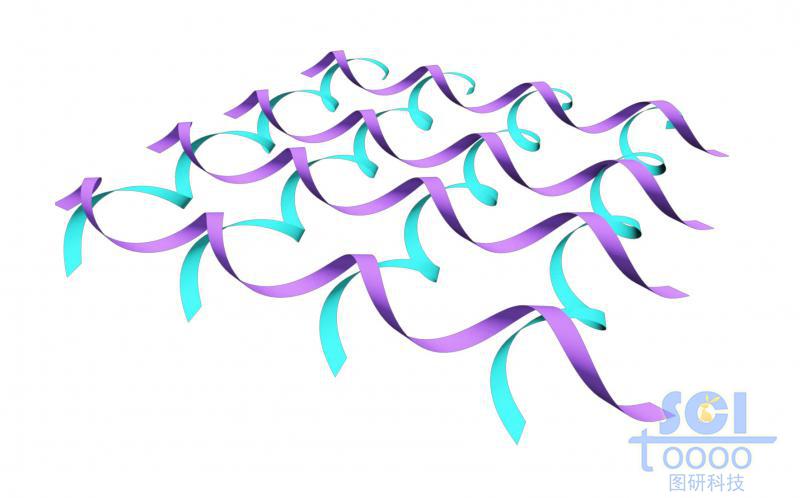 網(wǎng)狀交聯(lián)的高分子鏈段結(jié)構(gòu)