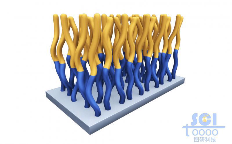 Polymer brush平直基底板上生長(zhǎng)彎曲的分子鏈