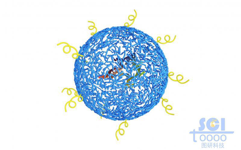 高分子鏈段交織的網(wǎng)狀空心球內(nèi)包裹單鏈RNA