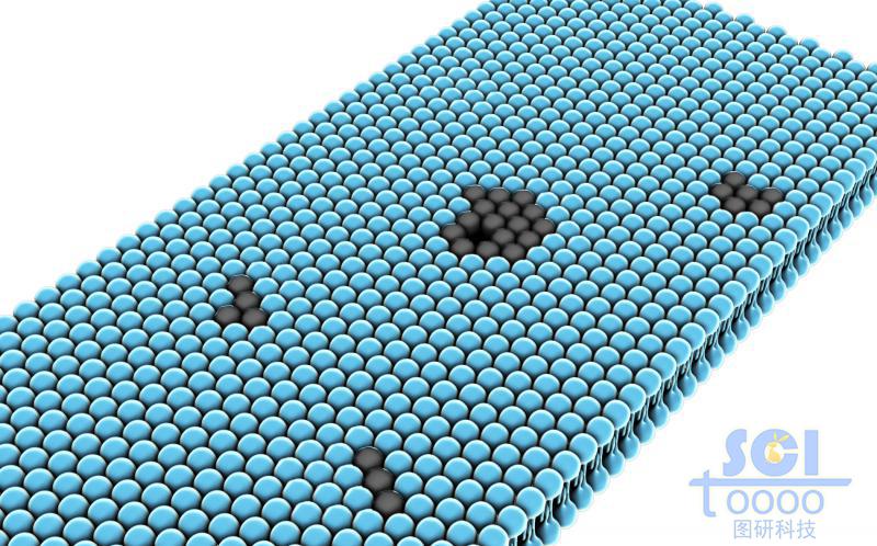 帶缺陷的磷脂雙分子層排布