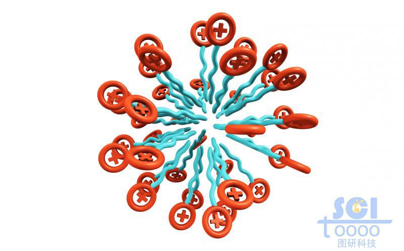 帶正+電荷的高分子鏈放射狀團(tuán)聚成球