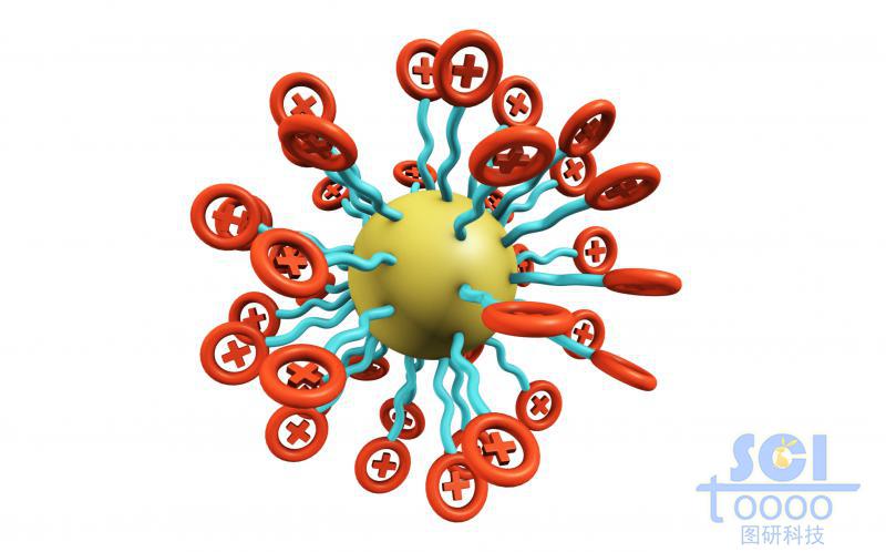 帶正+電荷的高分子鏈圍繞油滴放射狀團聚成球