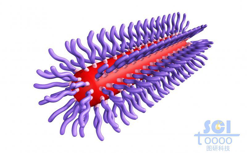 膠囊狀三段式高分子聚合結(jié)構(gòu)